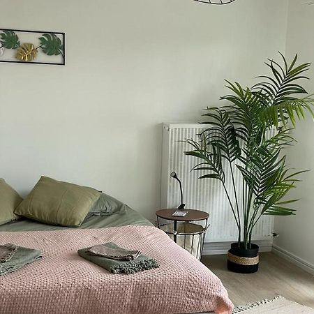 Studio T A 5Mn Euro Airport Avec Terrasse Saint-Louis  Zewnętrze zdjęcie