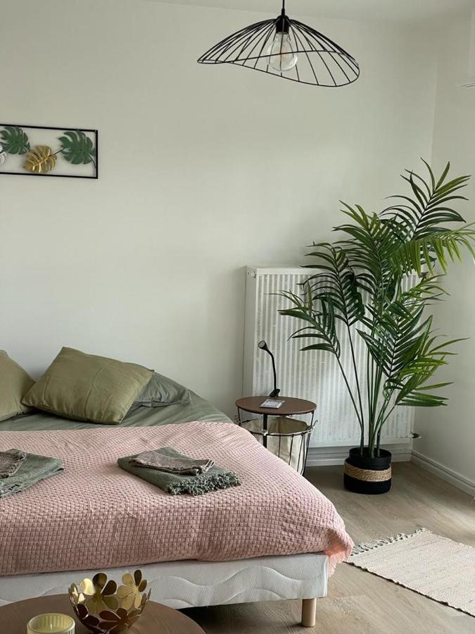 Studio T A 5Mn Euro Airport Avec Terrasse Saint-Louis  Zewnętrze zdjęcie