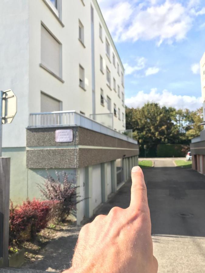 Studio T A 5Mn Euro Airport Avec Terrasse Saint-Louis  Zewnętrze zdjęcie